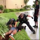 Image for article titled #SayHerName: Florida Police Viciously Beat 14-Year-Old Black Girl for ‘Resisting Arrest’